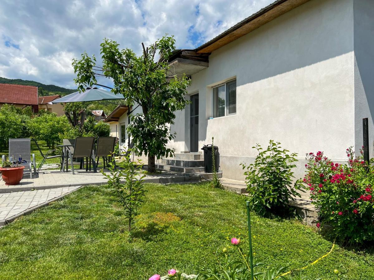 Casuta De Vacanta Villa Calimanesti Ngoại thất bức ảnh
